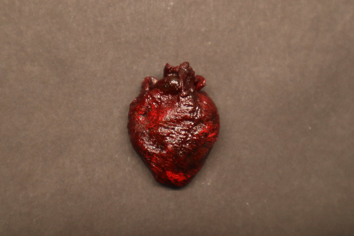Dry Preserved Raccoon Heart