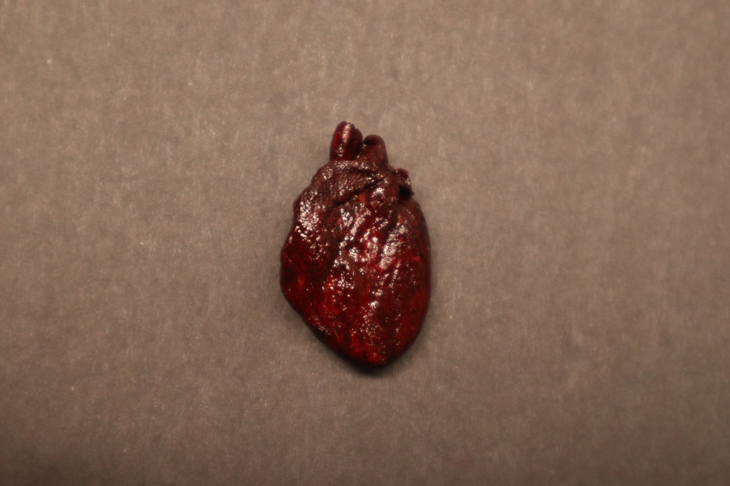 Dry Preserved Kitten Heart