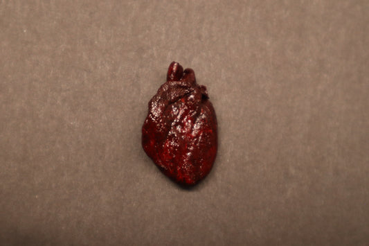Dry Preserved Kitten Heart