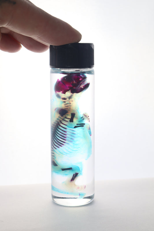Diaphonized Fetal Skunk