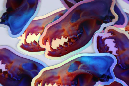 Wolf Skull Sticker - Holographic