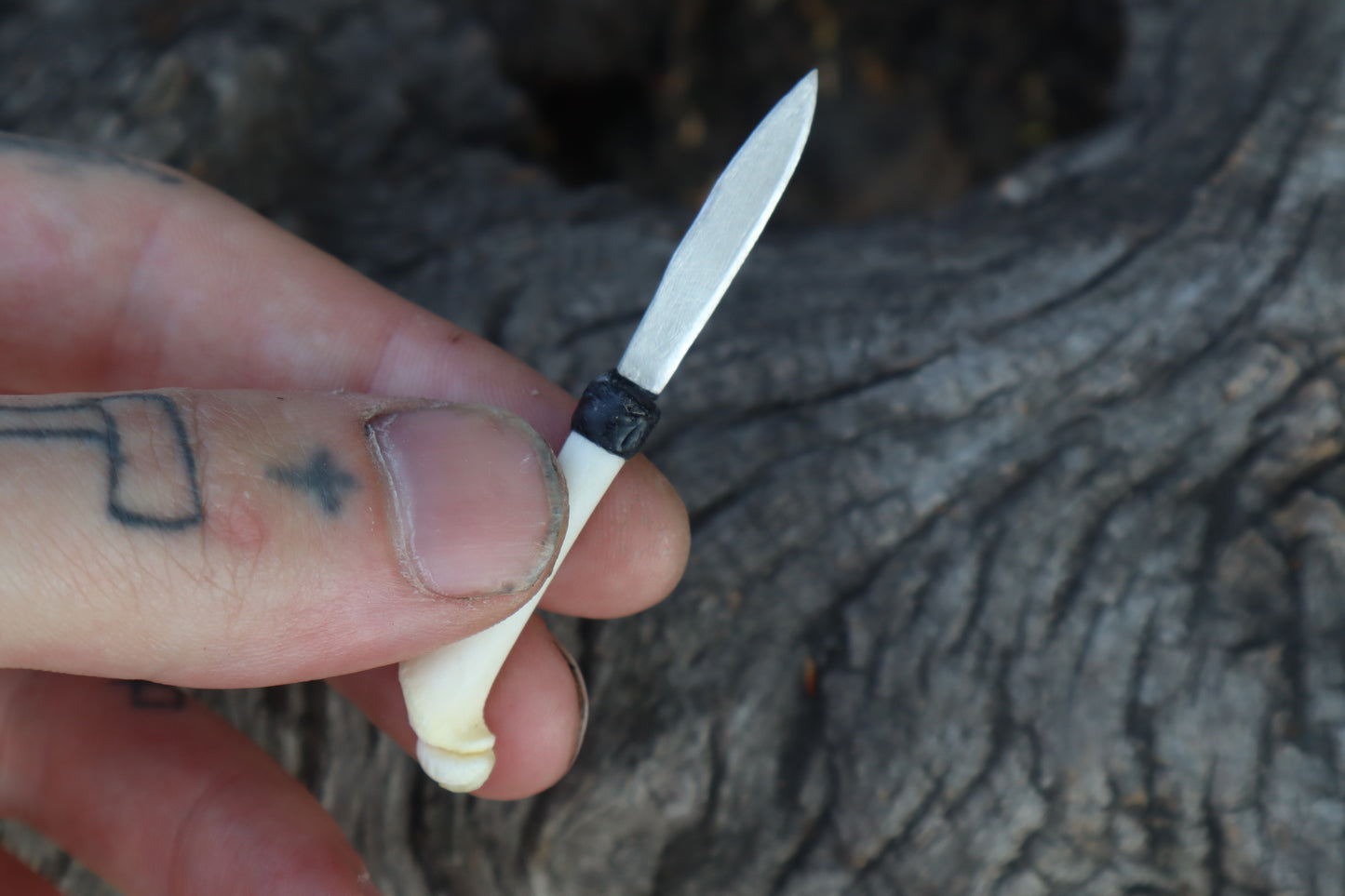 Kitten Femur Knife