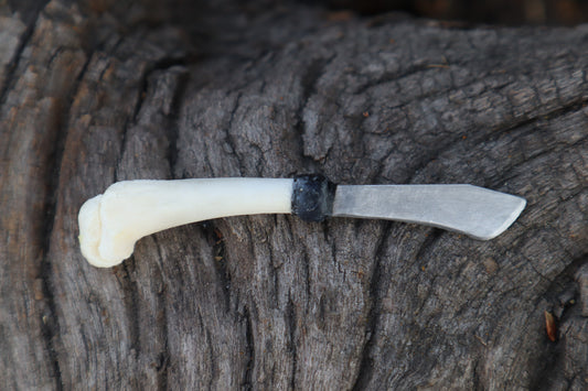 Kitten Humerus Knife