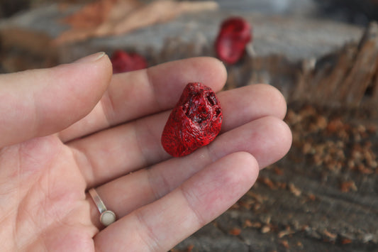 Dry Preserved Chicken Heart