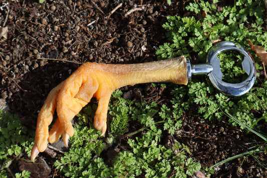 Chicken Foot Bottle Opener
