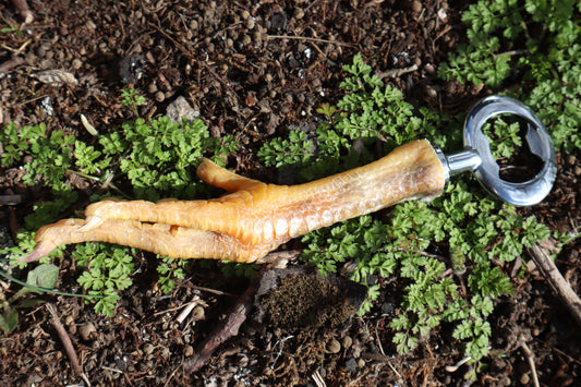 Chicken Foot Bottle Opener