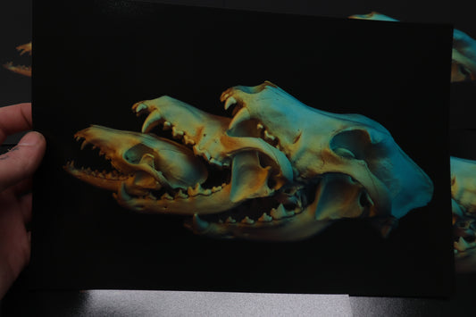 Canidaeception Print
