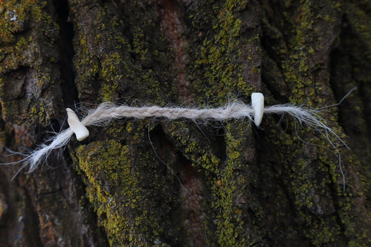 Gray Wolf Hair Braid with Black Wolf Bone Beads