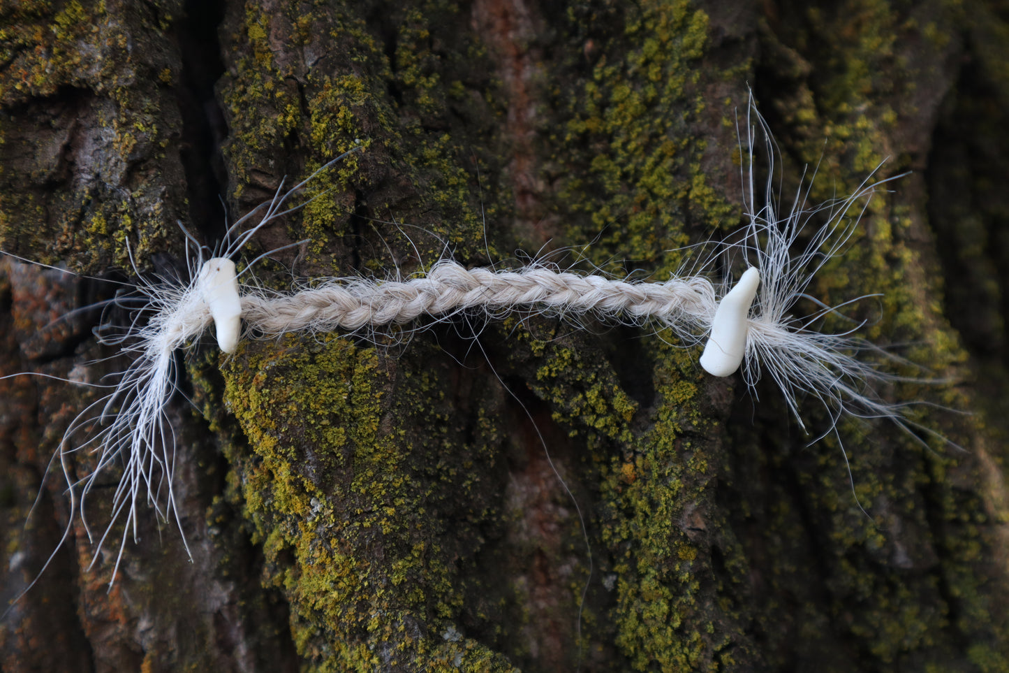 Gray Wolf Hair Braid with Black Wolf Bone Beads