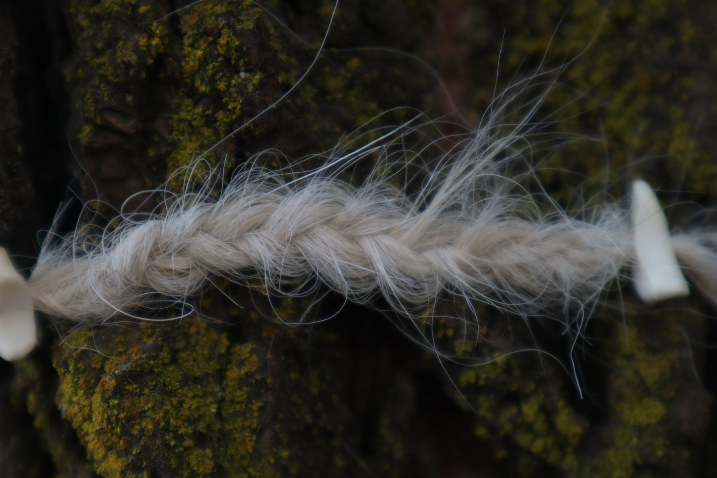 Gray Wolf Hair Braid with Black Wolf Bone Beads