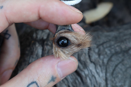 Pine Marten Eyeball Talisman