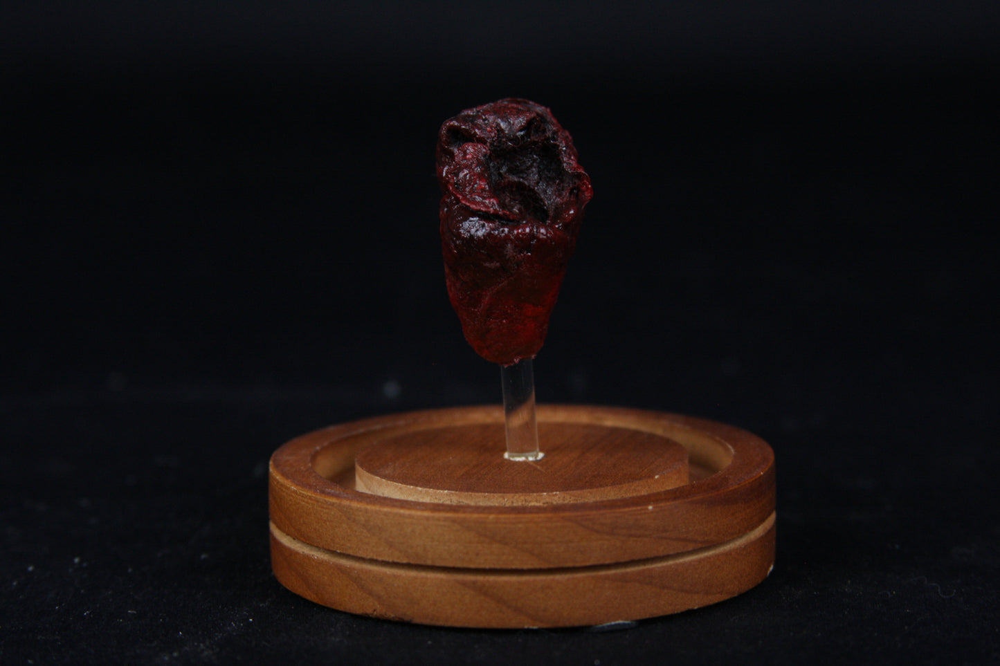 Baby Goat Heart Dome