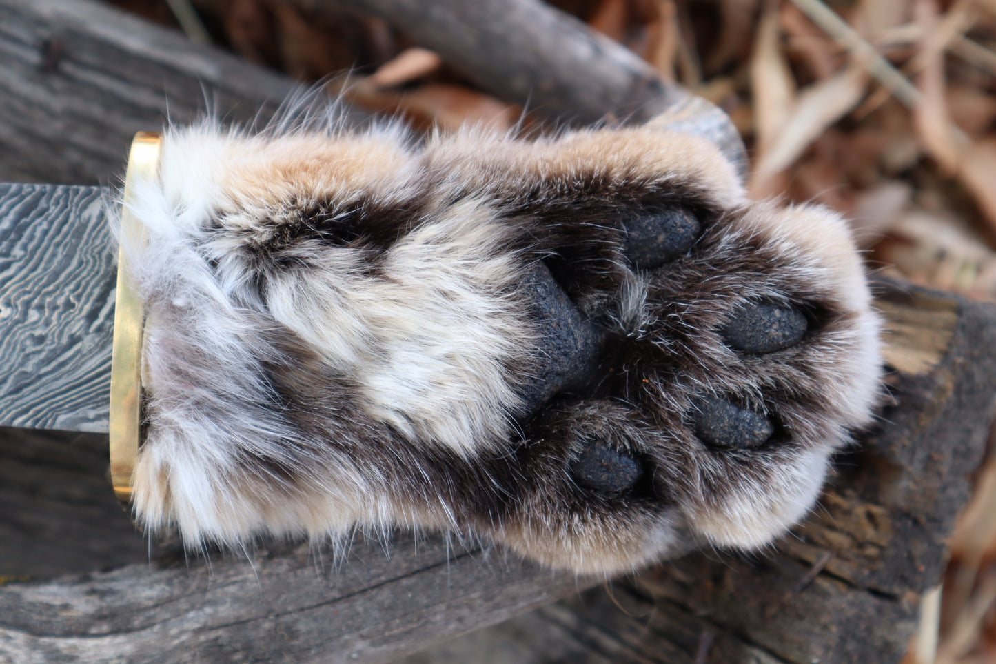 Damascus Bobcat Paw Athame