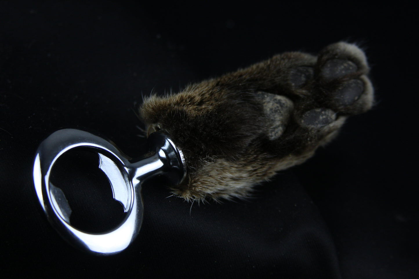 Bobcat Paw Bottle Opener