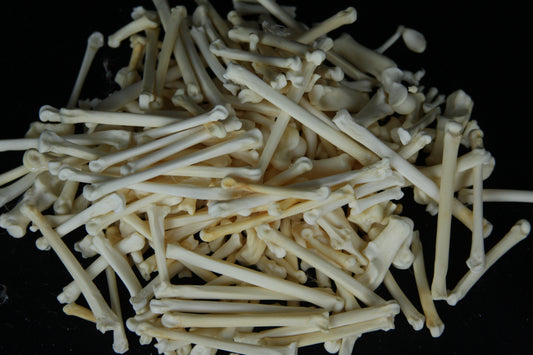 Craft Phalange Lot (20)