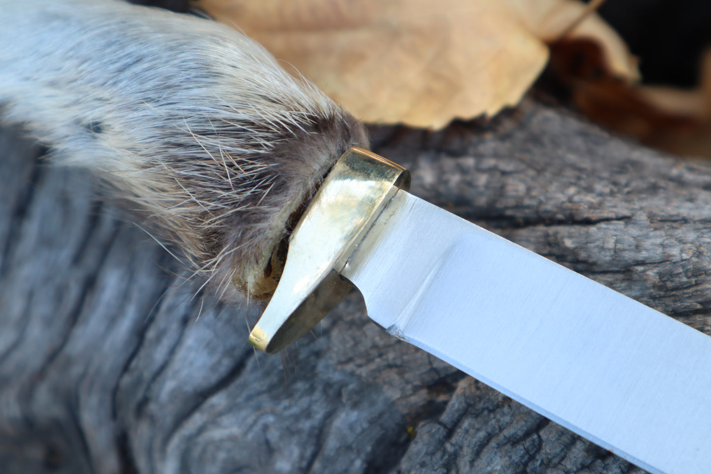 Raccoon Paw Athame