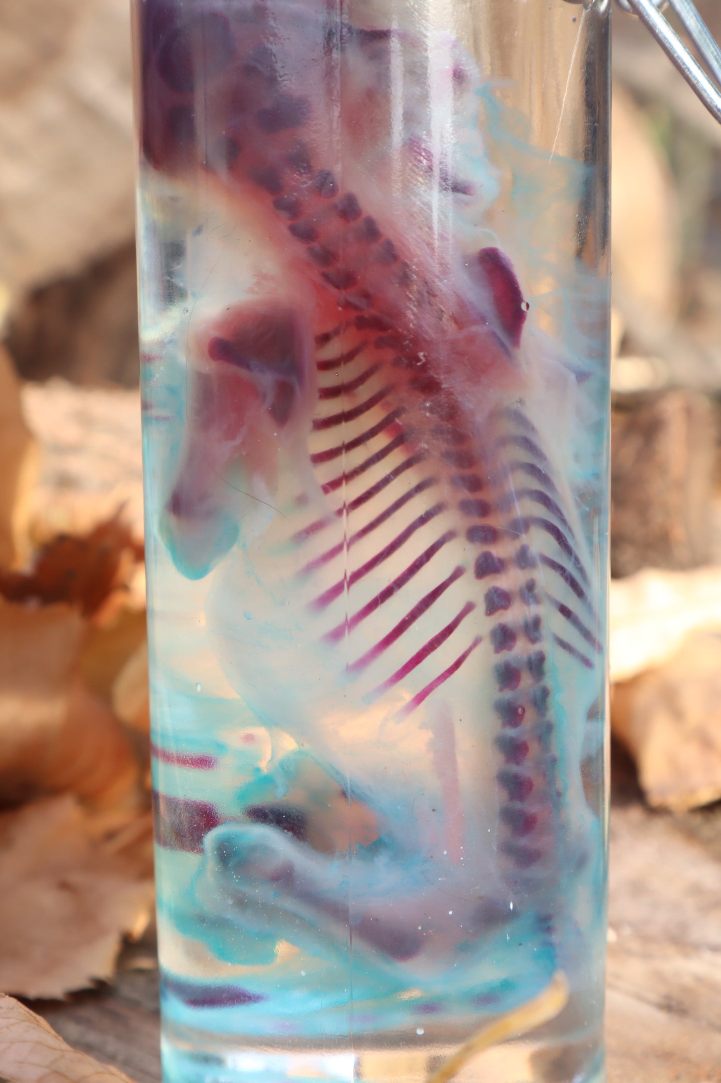 Diaphonized Fetal Kitten