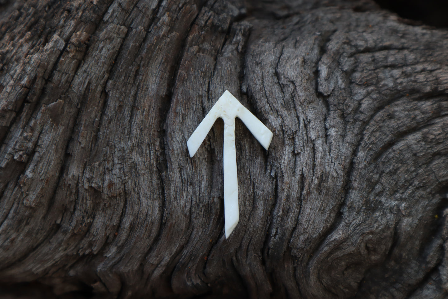 Tiwaz Wolf Bone Talisman