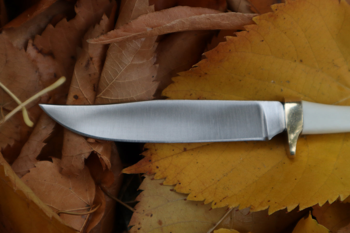 Raccoon Femur Knife