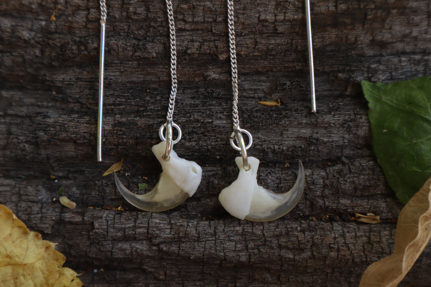 Cat Claw Earrings