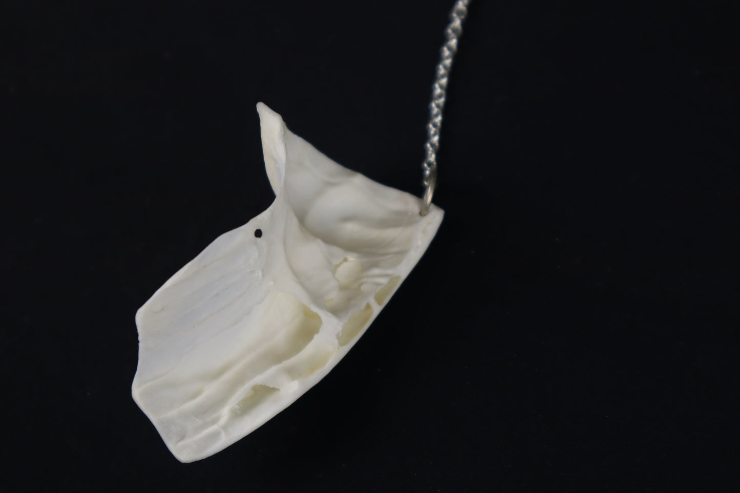 Coyote Skull Fragment Charm/Keychain