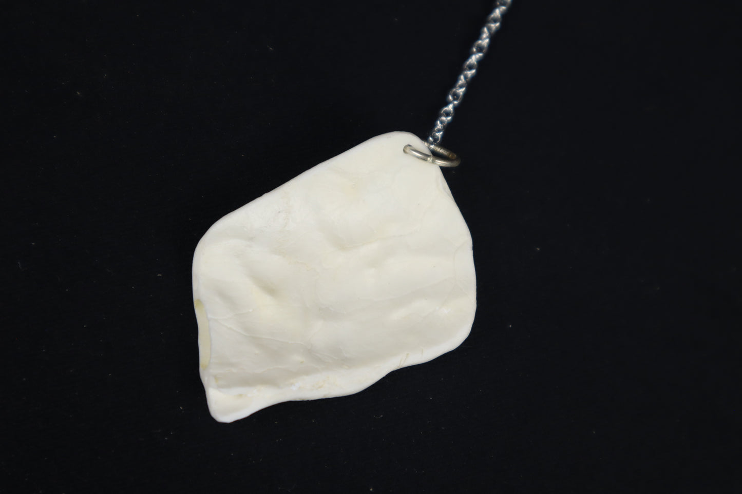 Coyote Skull Fragment Charm/Keychain