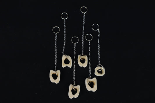 Whitetail Deer Tibia Slice Charm/Keychain