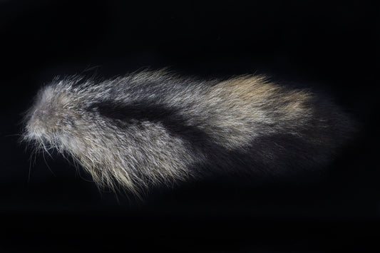 Gray Fox Tail