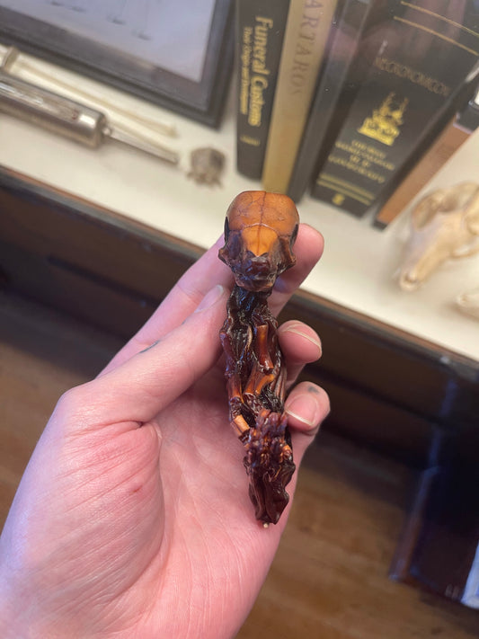 Reserved for Destiny - Dry Preserved Fetal Piglet