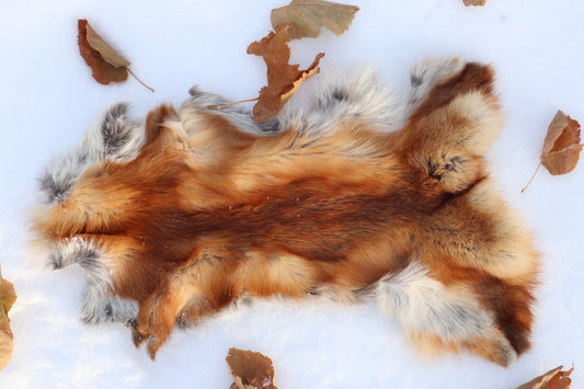 Red Fox Pelt - Altar Cut