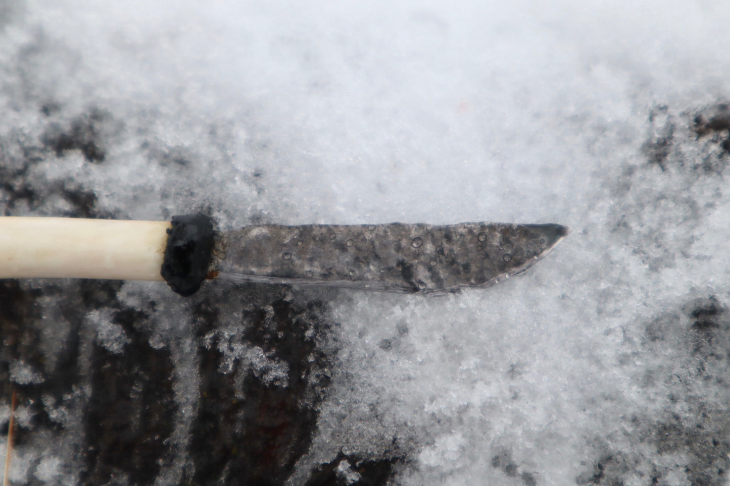 Kitten Tibia Knife
