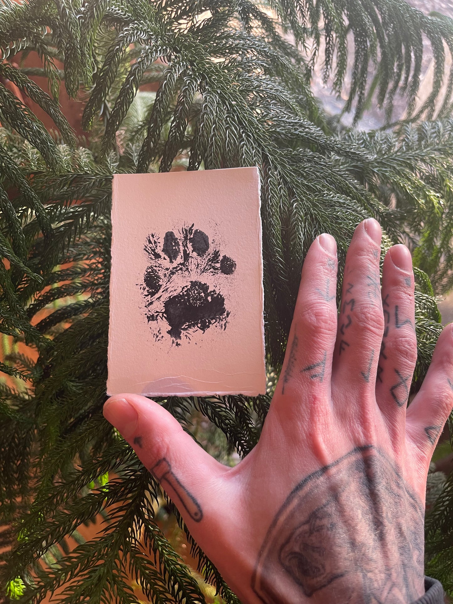 Bobcat Paw Print