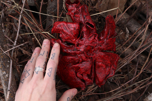Dry Preserved Gray Wolf Lungs