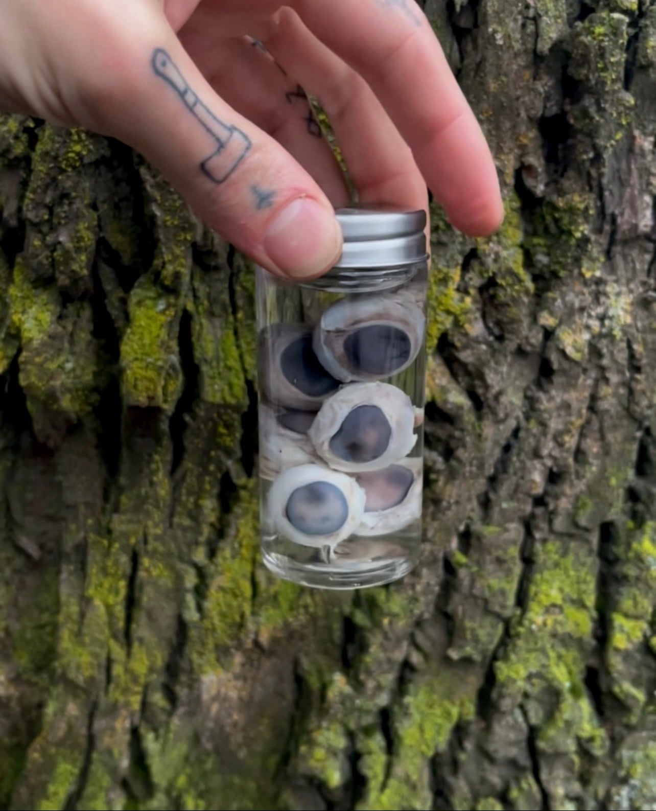 Reserved for Ratmilk - Wet Specimen Coyote Eyeballs