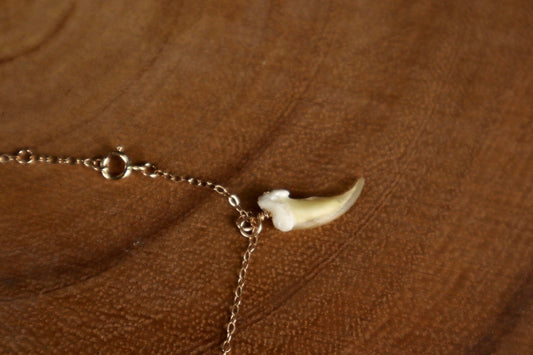 Red Fox Regalia 14k Gold Bracelet
