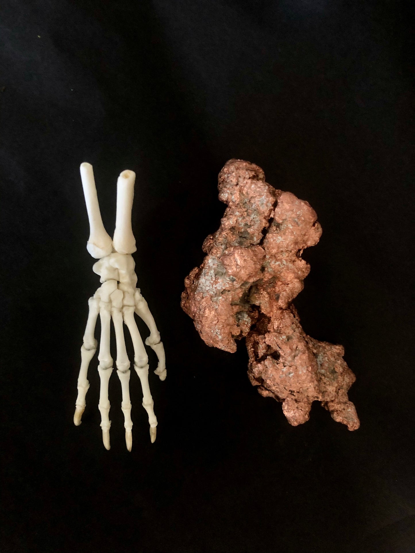 Opossum Paw Articulation with Native Copper Base