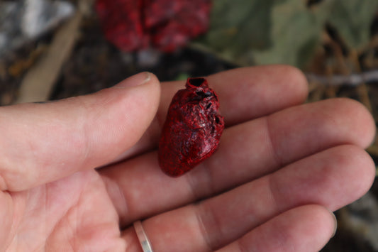 Reserved for Brandon - Dry Preserved Raccoon and Baby Rabbit Heart and Lungs