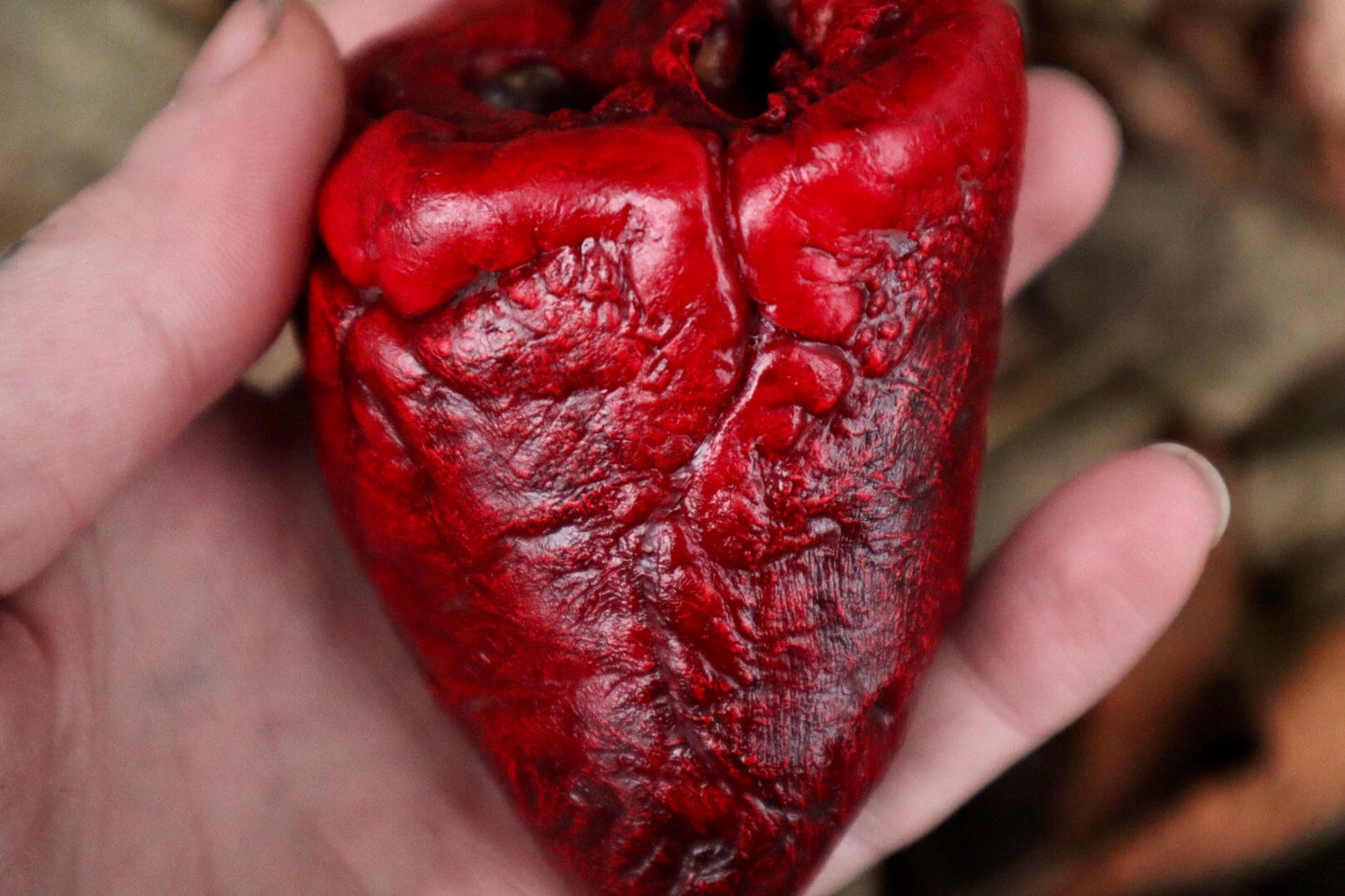 Dry Preserved Lamb Heart