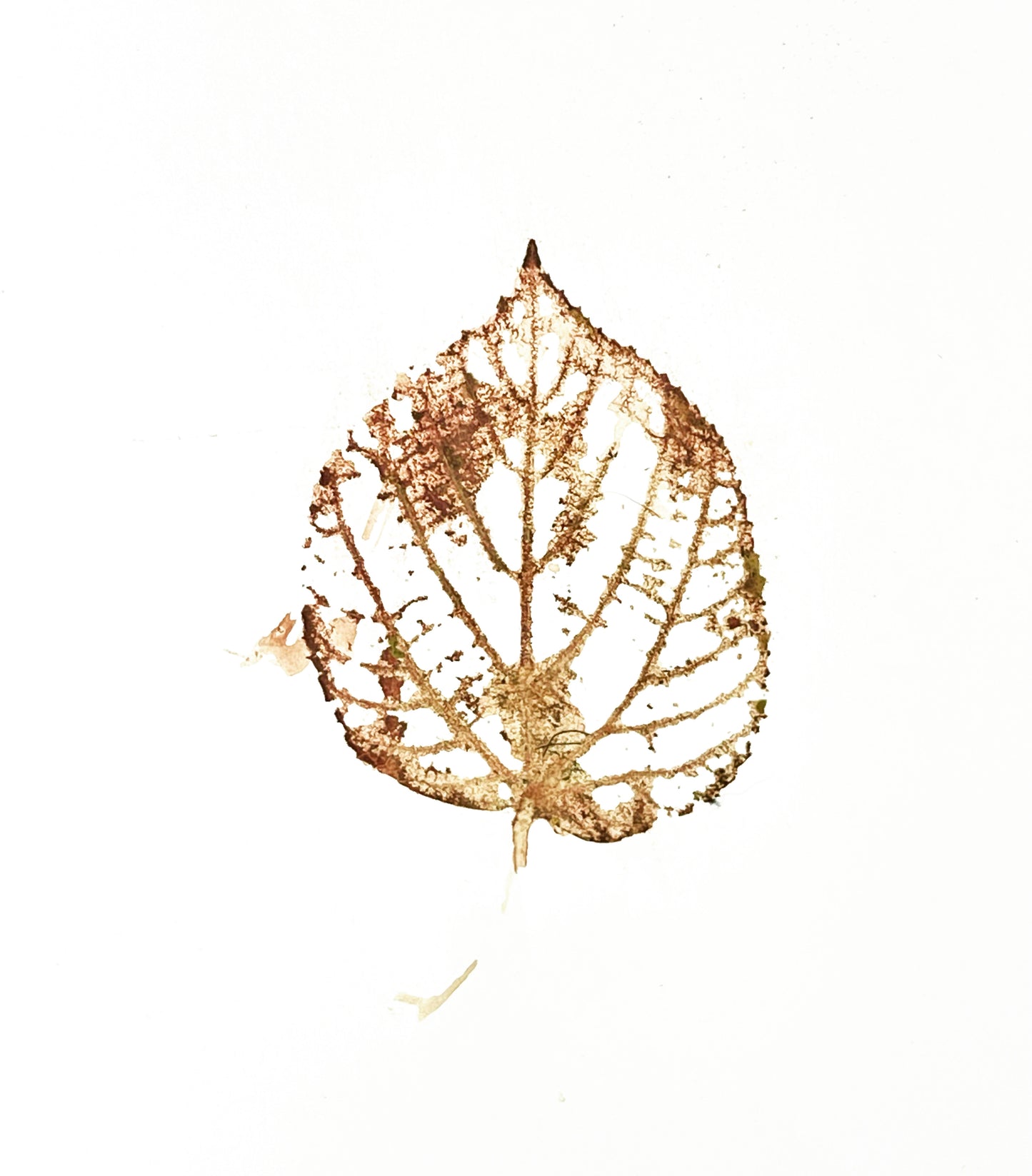 Reserved for Ash - Gray Wolf Blood Bass Wood Leaf Print