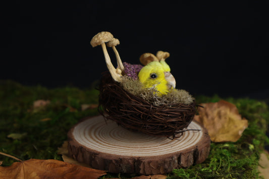 Reserved for Amanda -Taxidermy Budgerigar Head Sculpture