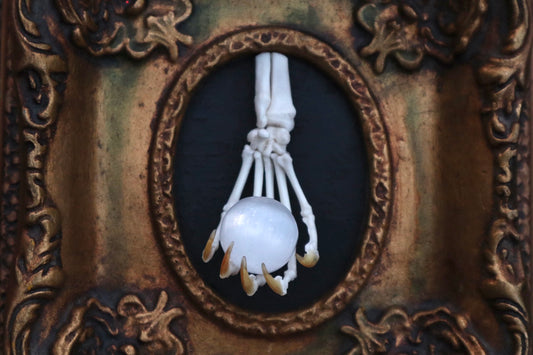 Raccoon Paw Articulation with Crystal Ball