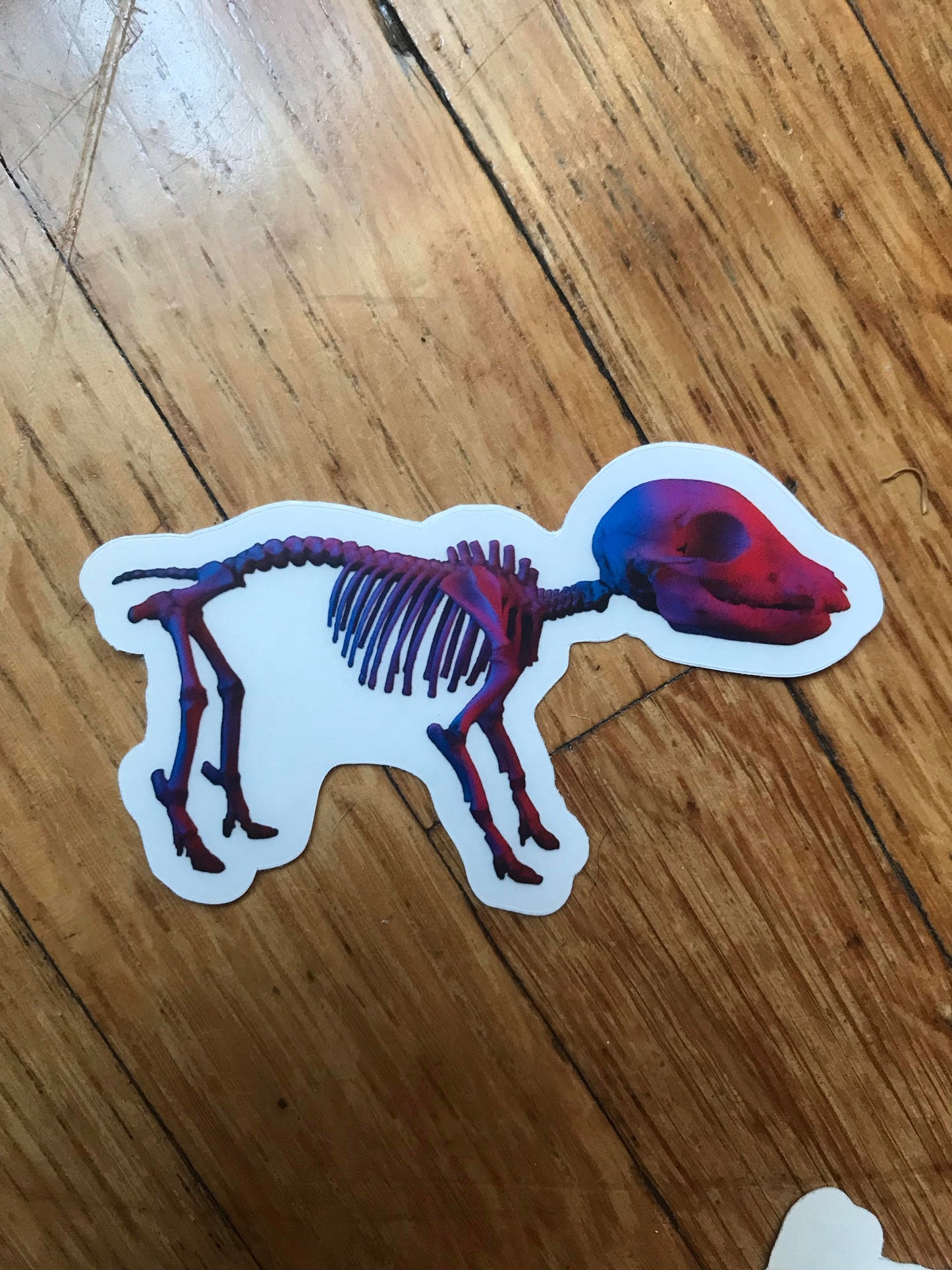 Neon Piglet Sticker