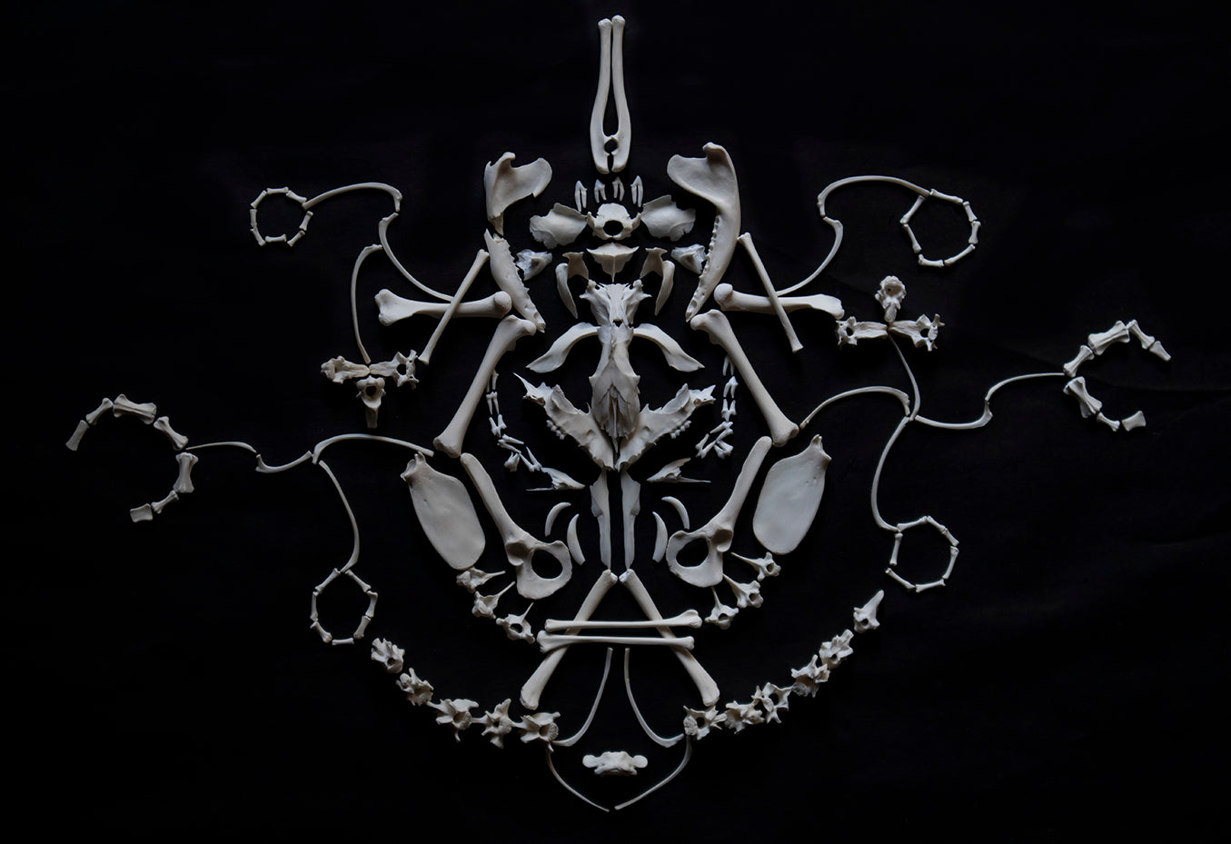 Craft Opossum Skeleton Lot