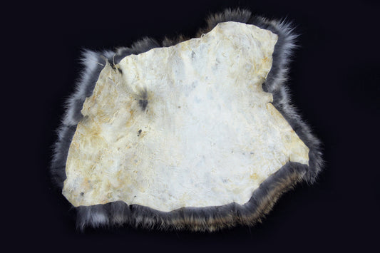Domestic Rabbit Pelt