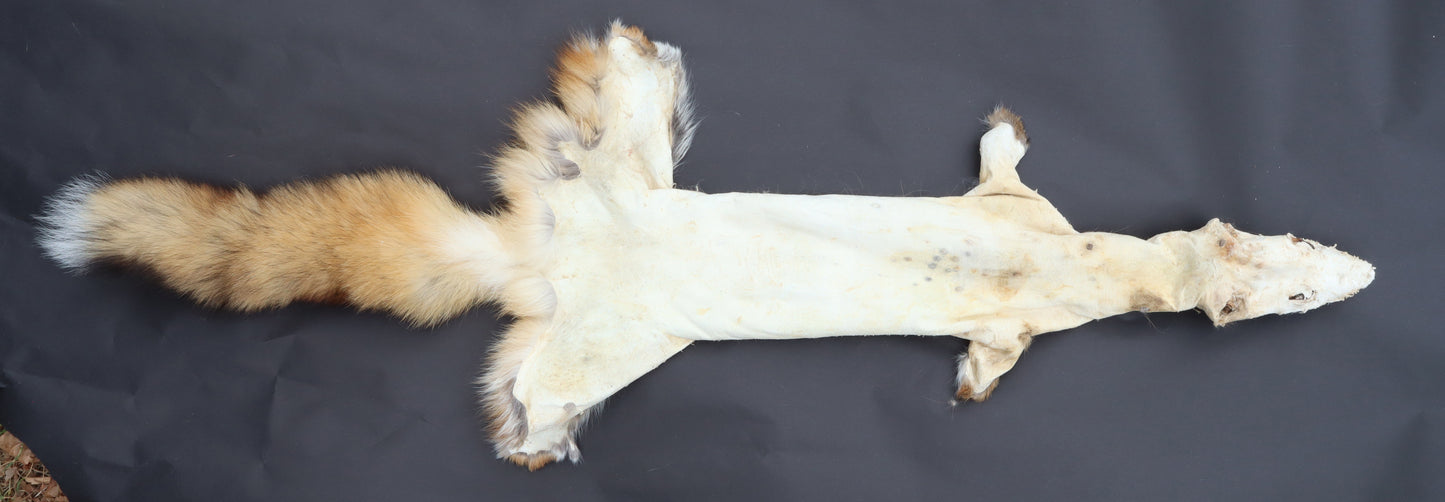 Red Fox Wall Hanger