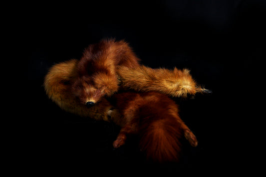 Mink Pelts