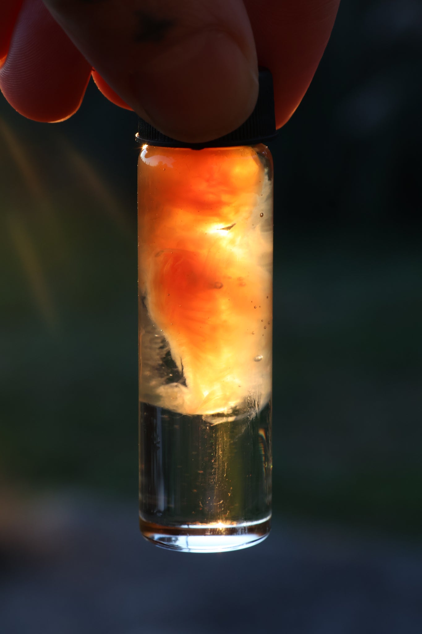 Diaphonized Fetal Beaver