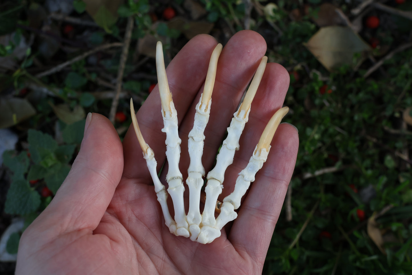 Reserved for Shayne - Badger Paw Articulation
