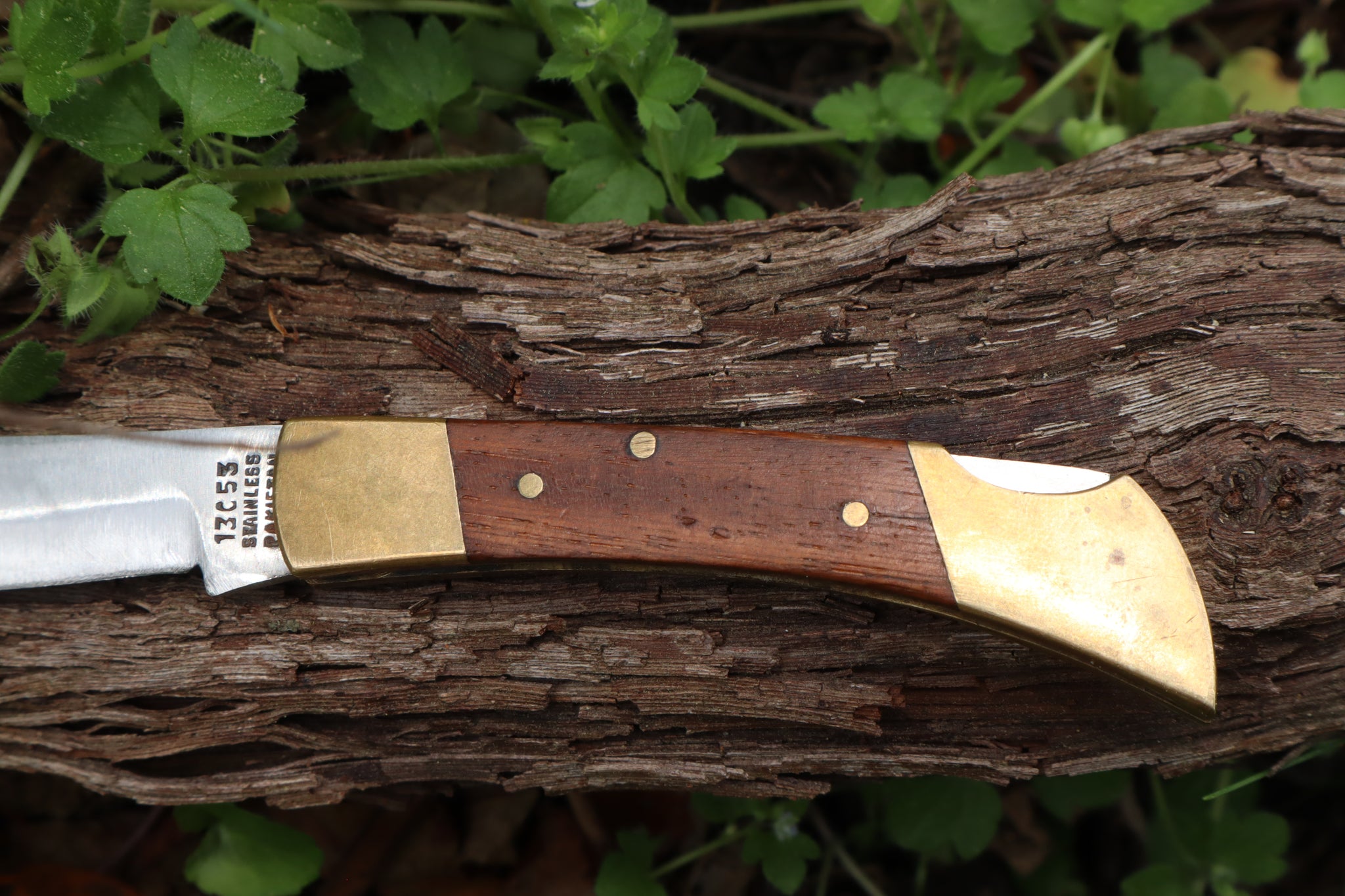 Chaos Monk Folding Knife