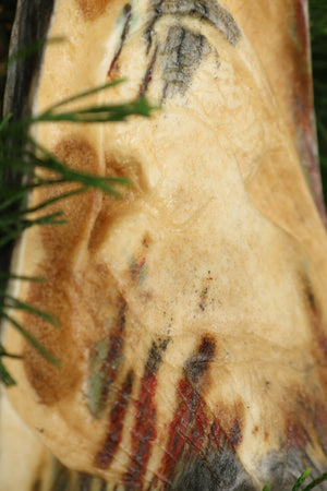 Sappho Moose Antler Carving